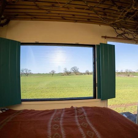 'Pipistrelle' Remote Off-Grid Micro Cabin Villa Sedgefield Exteriör bild