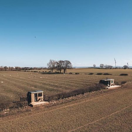 'Pipistrelle' Remote Off-Grid Micro Cabin Villa Sedgefield Exteriör bild