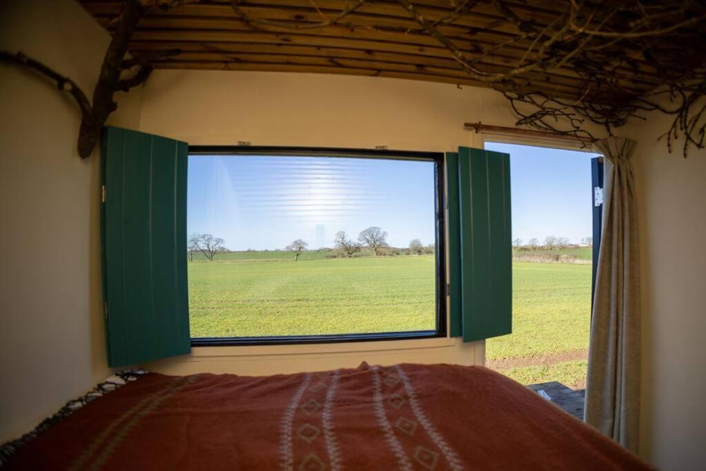 'Pipistrelle' Remote Off-Grid Micro Cabin Villa Sedgefield Exteriör bild