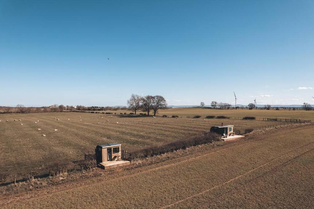 'Pipistrelle' Remote Off-Grid Micro Cabin Villa Sedgefield Exteriör bild
